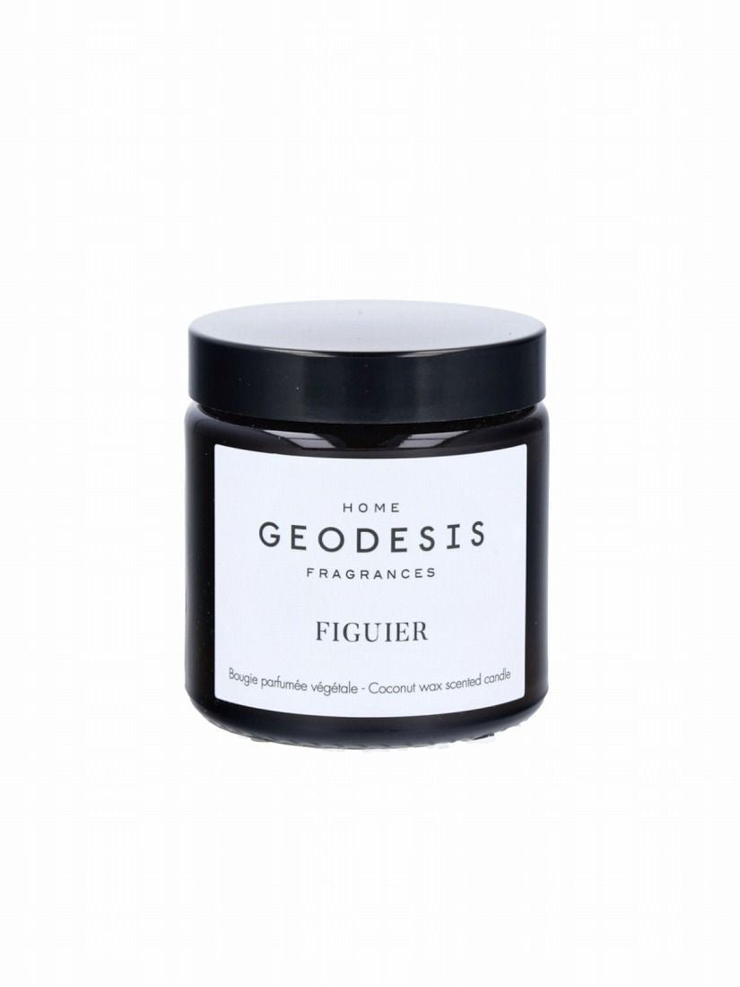 GEODESIS》キャンドル フィグツリー – H.P.FRANCE公式サイト